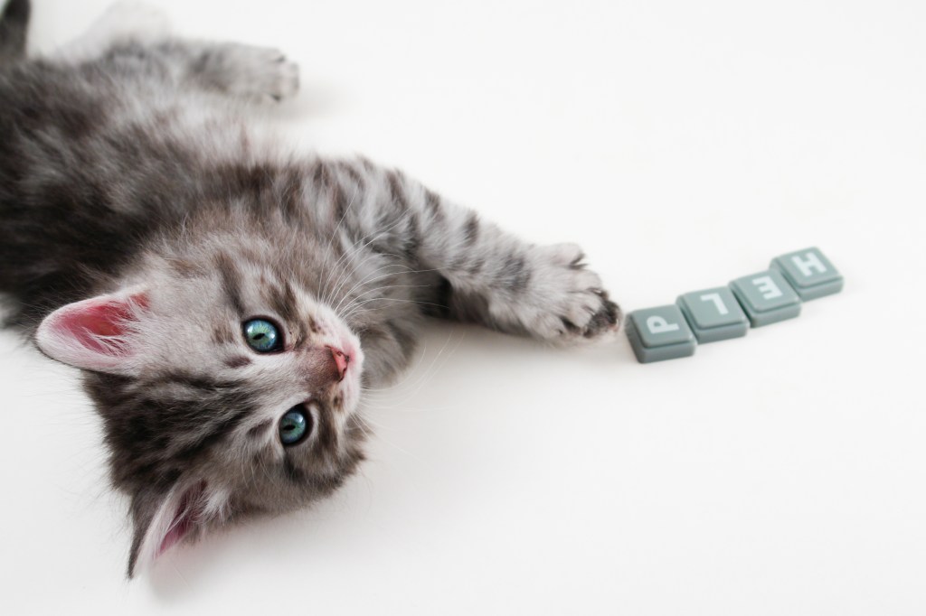 I Don’t Know How to Be&nbsp;Single