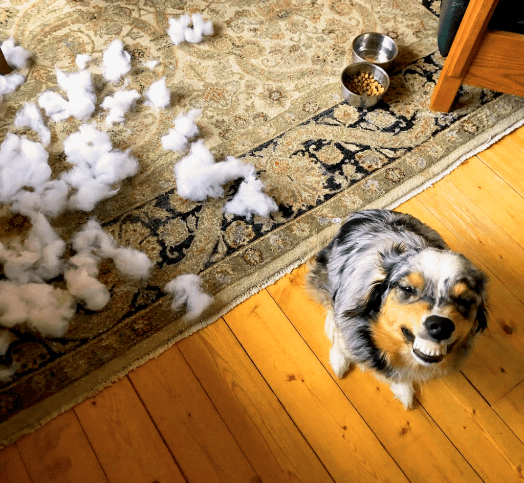 Oh No. I am the&nbsp;Problem