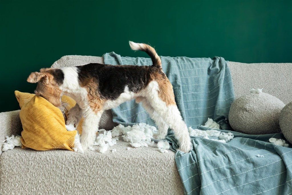 Dear Baby Jesus, Please Don’t Let Me Ruin This